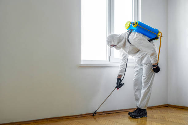 Best Pest Exclusion Services  in East Helena, MT